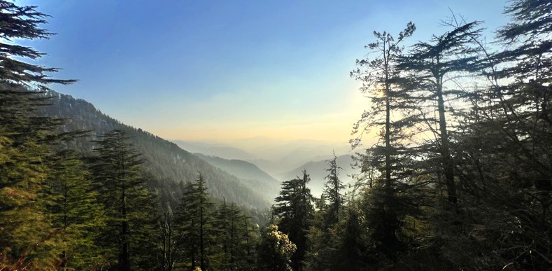 Shimla Manali Tour